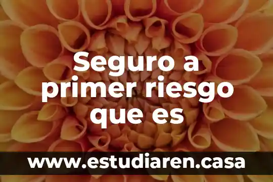 Que es el seguro de arrendamiento 4 Seguro a primer riesgo que es