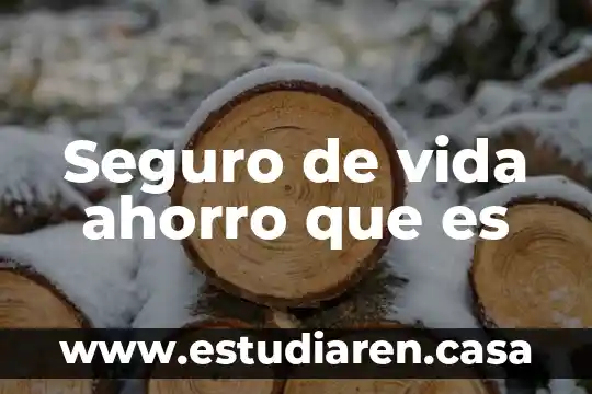 Seguro de vida ahorro que es