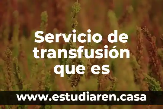Que es comunicacion empresarial en el servicio al cliente 6 Servicio de transfusi贸n que es