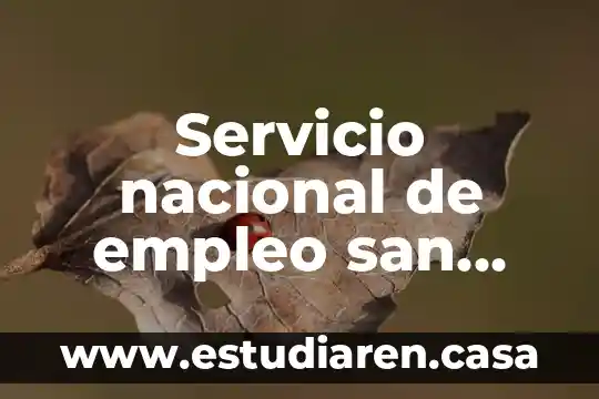 Qué es el Plan de San Luis de Potosí 7 Servicio nacional de empleo san luis potosi que es