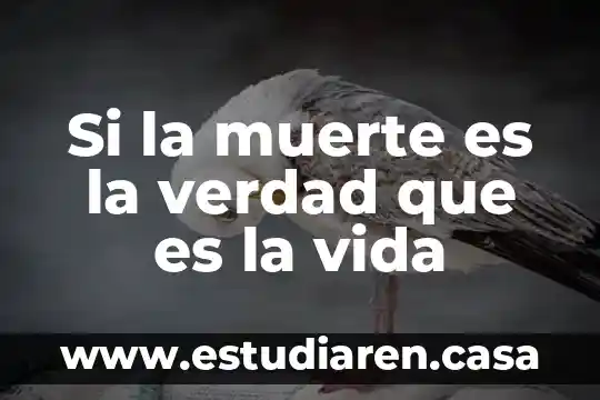 Que es un variable continua en estadistica 4 Si la muerte es la verdad que es la vida