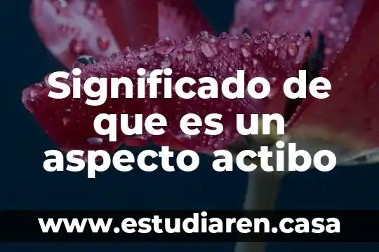 Significado de que es un aspecto actibo