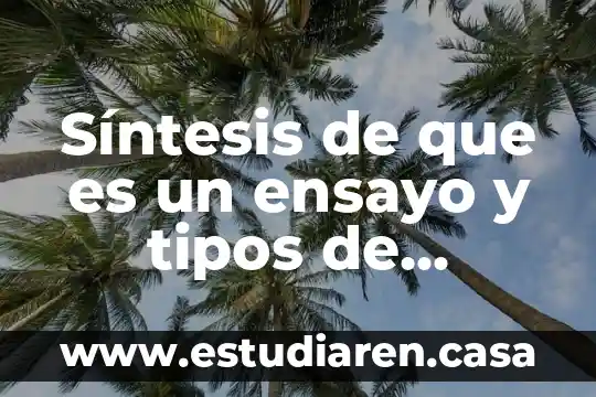 Síntesis de que es un ensayo y tipos de ensayos