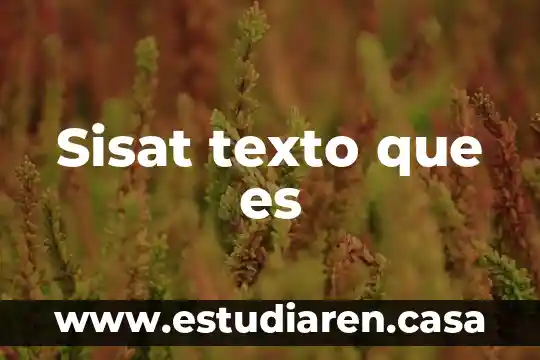 Sisat texto que es