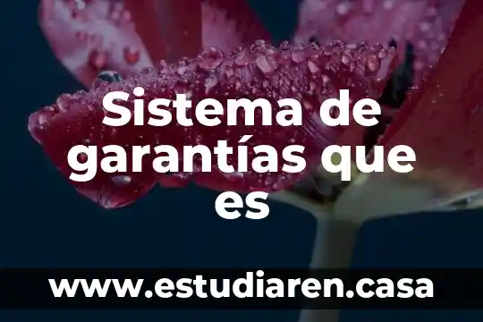 Que es un sistema de inormación 5 Sistema de garantías que es