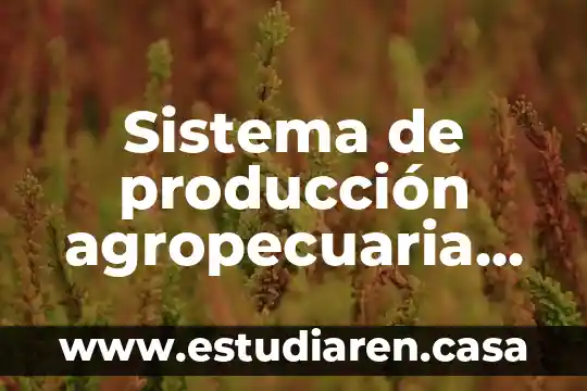 Agropecuaria Industrial y Comercial Alpen Swiss S.A. que es 6 Sistema de producción agropecuaria que es