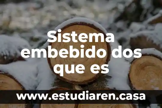Sistema embebido dos que es