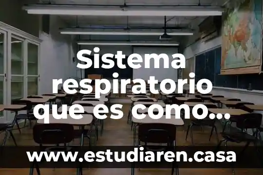 Que es combinada en sistema respiratorio 3 Sistema respiratorio que es como funciona