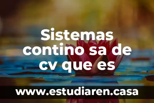 Que es distribuidora mezgo s.a de c.v 8 Sistemas contino sa de cv que es
