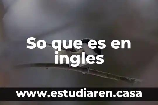 Poser que es en ingles 3 So que es en ingles
