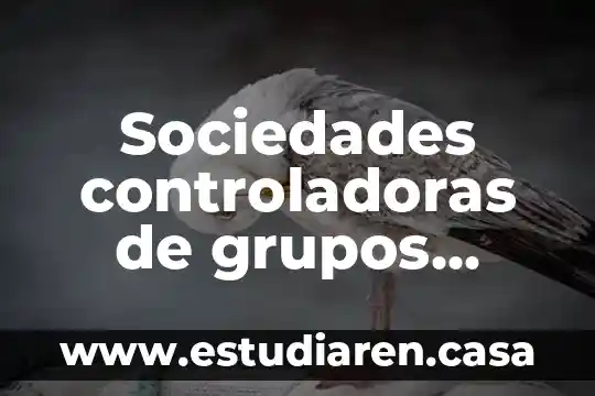 Que es tecnica de relajacion por grupos 3 Sociedades controladoras de grupos financieros que es