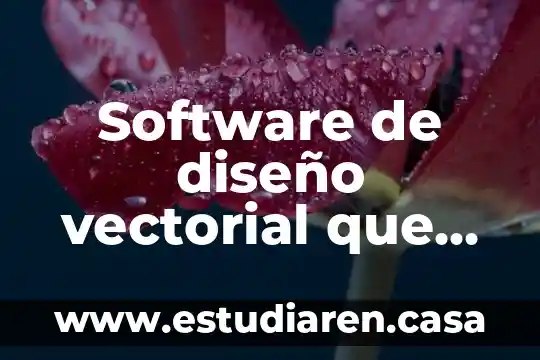 Software de diseño vectorial que es