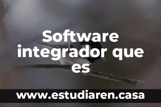 Software integrador que es