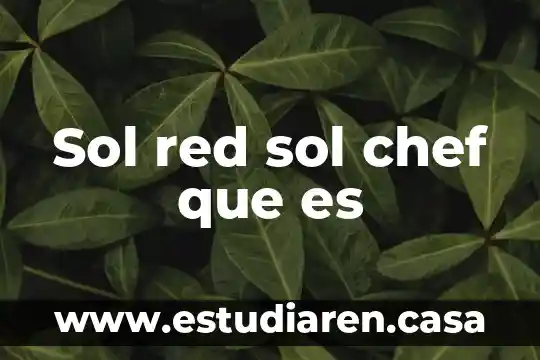 Sol red sol chef que es