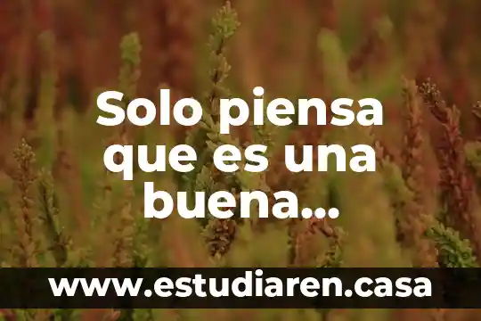 Que es un area de oportunidad en una empresa 3 Solo piensa que es una buena oportunidad para mejorar