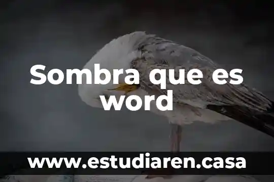 Sombra que es word