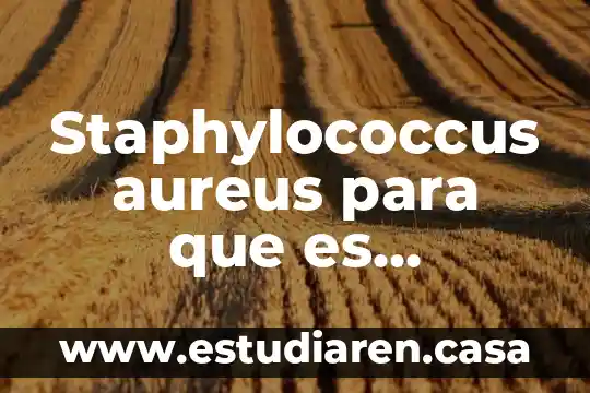 Staphylococcus aureus para que es importancia