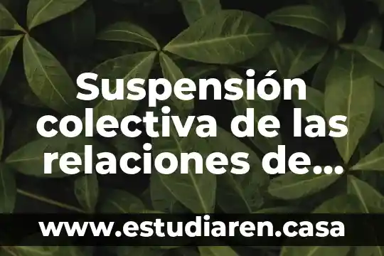 Suspension quimica que es 8 Suspensión colectiva de las relaciones de trabajo que es