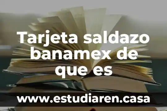 Que es importar desde la tarjeta sim 4 Tarjeta saldazo banamex de que es