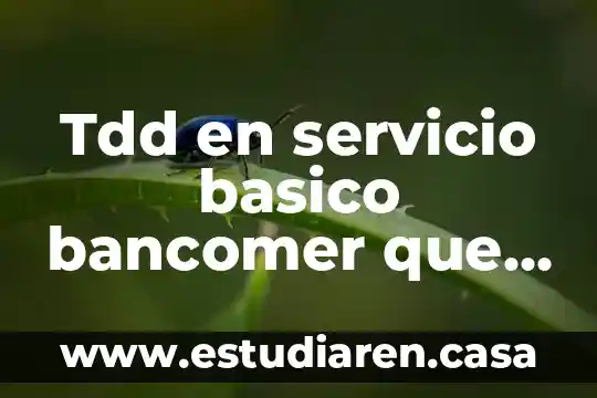 Tdd en servicio basico bancomer que es