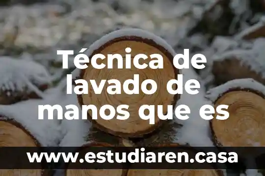 Cme enchile las manos que es bueno 4 Técnica de lavado de manos que es