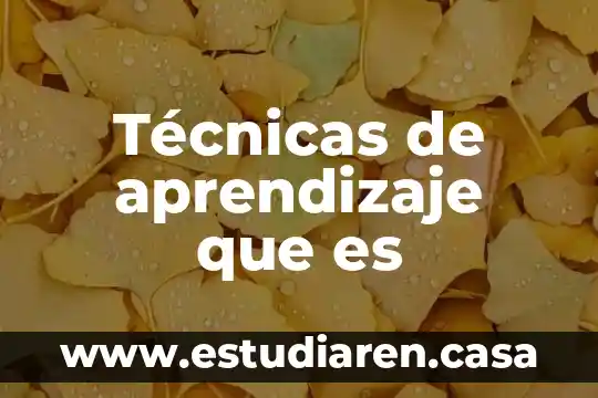 Técnicas de aprendizaje que es
