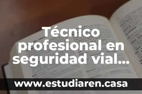 Qué es un inspector de seguridad vial 3 Técnico profesional en seguridad vial que es