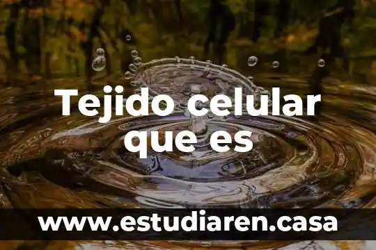 Tejido celular que es
