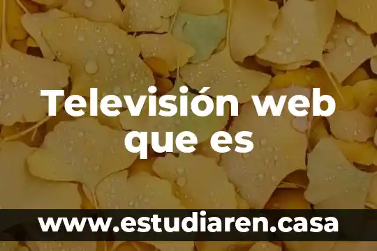Qué es un píxel en web 6 Televisión web que es