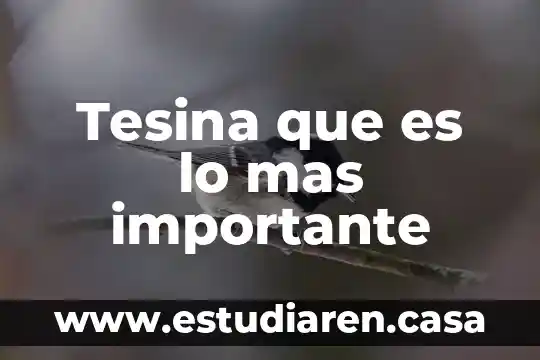 Tesina que es lo mas importante