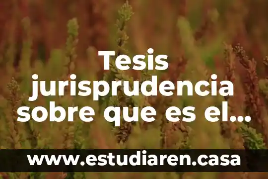 Que es el diseño de un proceso 6 Tesis jurisprudencia sobre que es el debido proceso