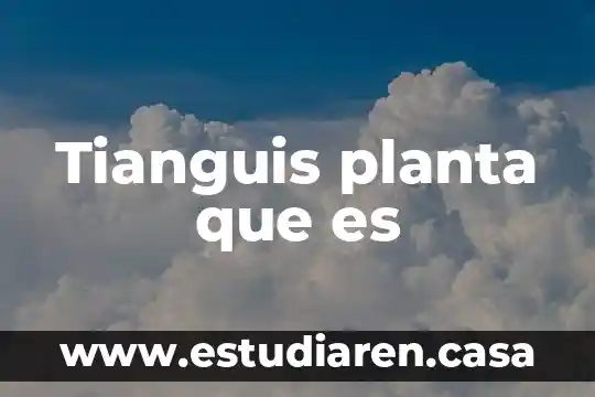 Que es una planta informacion 7 Tianguis planta que es
