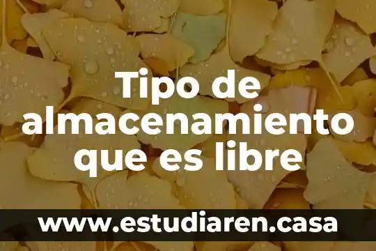 Tipo de almacenamiento que es libre