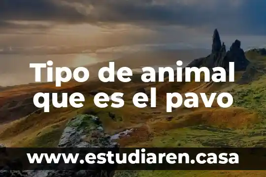 Tipo de animal que es el pavo
