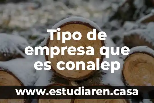 Que es centro de salud tipo a 7 Tipo de empresa que es conalep