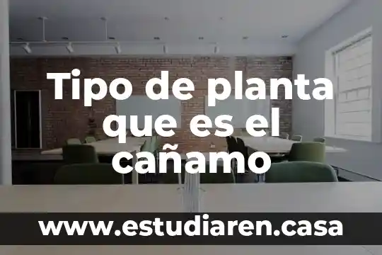 Tipo de planta que es el cañamo