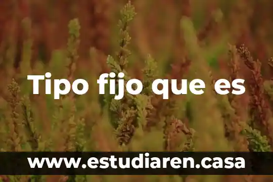 Que es adquisicion de activo fijo 8 Tipo fijo que es