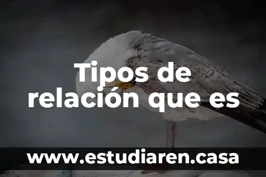 Tipos de relación que es