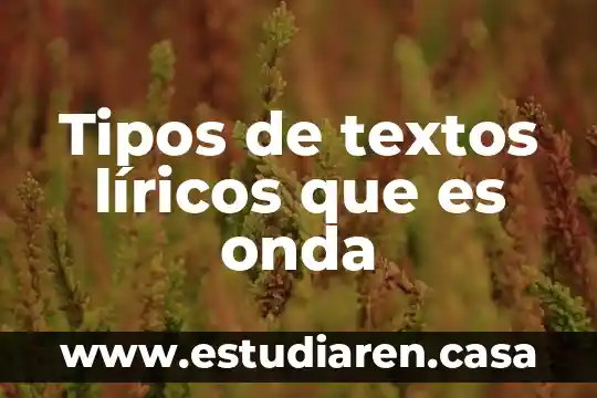 Tipos de textos líricos que es onda