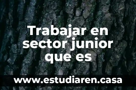 Que es sector empresarial definicion 4 Trabajar en sector junior que es