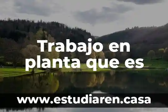 Trabajo en planta que es