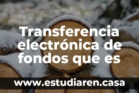 Que es el manejo de fondos publicos 6 Transferencia electrónica de fondos que es