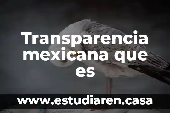 Qué es un tamal ritual dentro de la gastronomía mexicana 6 Transparencia mexicana que es