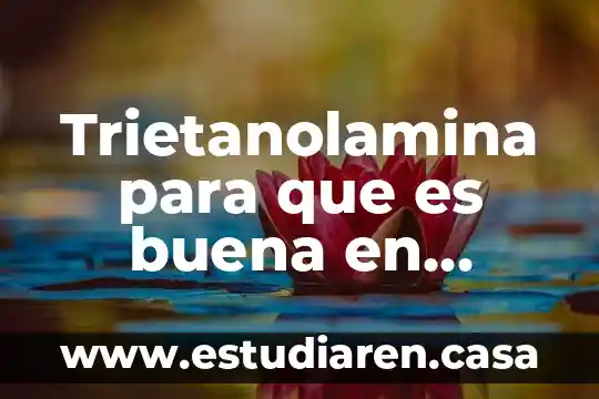 Para que es buena la manzana en ayunas 3 Trietanolamina para que es buena en cabello