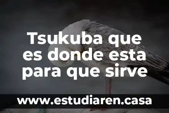 Tsukuba que es donde esta para que sirve