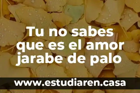 Que es tu niño interior 5 Tu no sabes que es el amor jarabe de palo