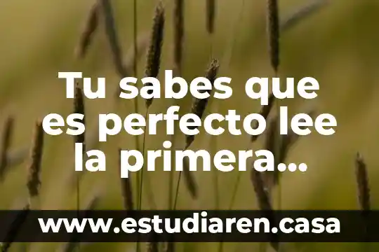 Tu sabes que es perfecto lee la primera palabra