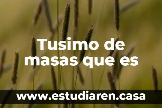 Que es bueno para los gases en niños 5 Tusimo de masas que es