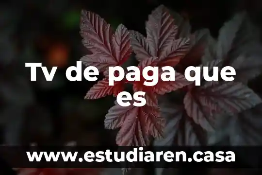 Que es lo que paga el ex works 3 Tv de paga que es