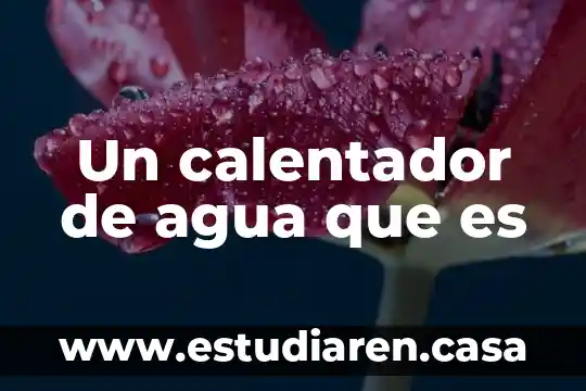Kalotron calentador de agua que es 5 Un calentador de agua que es